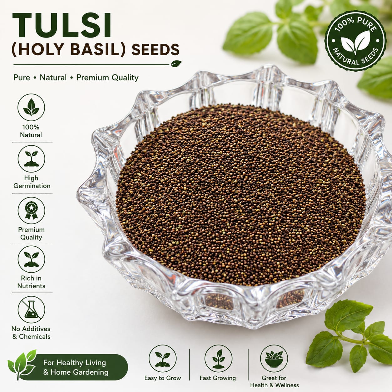 Tulsi Seeds