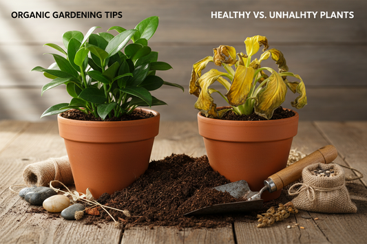 Troubleshooting Yellow Leaves in Plants: Simple Fix Guide