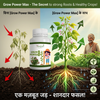 Grow Power Max Plant Growth Booster for More Flowers, Fruits & Greener Plants 250ML